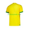 Maillot de Foot Mamelodi Sundowns Domicile 2023-24